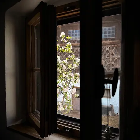 Haus Bartenschlager 別荘 *